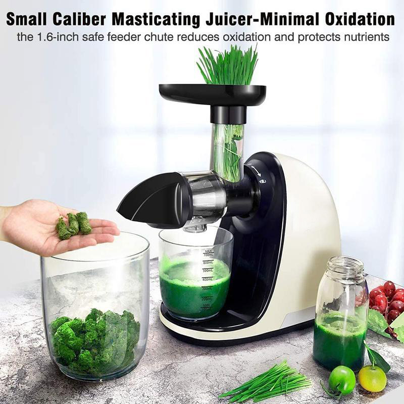 Professional Juicer Extractor Machine